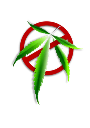 Cannabis Leaf No Sign