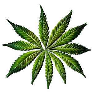 Cannabis Leaf Pattern Png 74 PNG image