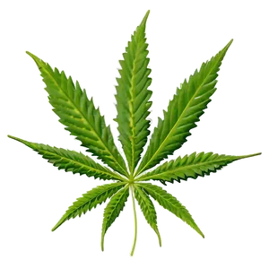 Cannabis Leaf Pattern Png Lfb29 PNG image