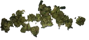 Cannabis Map Artwork PNG image