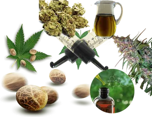 Cannabis Products Collage PNG