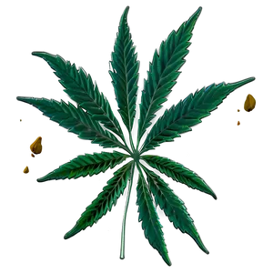Cannabis Sativa Plant Png Ukl26 PNG image