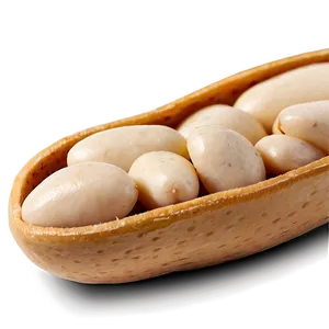 Cannellini Bean PNG Npa53 PNG