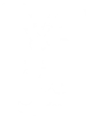 Capricorn Zodiac Sign Artwork