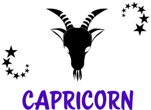 Capricorn Zodiac Symbol Art PNG image