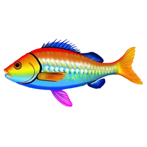 Captivating Fish Outline PNG 49 PNG