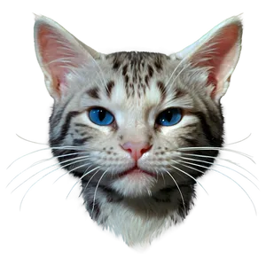 Captivating Kitty Whiskers PNG Bit12 PNG