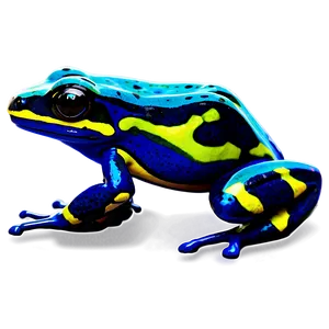 Captivating Poison Dart Frog PNG Qfg PNG