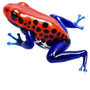 Captivating Poison Dart Frog PNG Ree1 PNG