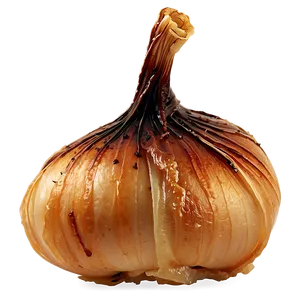 Caramelized Onion Garnish PNG 58 PNG