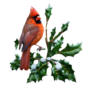 Cardinal And Holly PNG 28 PNG