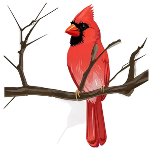 Cardinal Bird Vector PNG 06252024 PNG