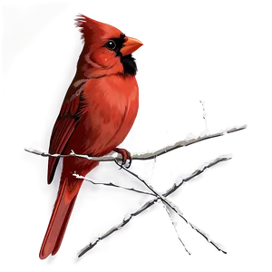 Cardinal Bird Vector PNG 54 PNG