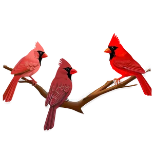 Cardinal Family PNG 05242024