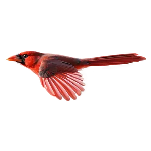Cardinal Flying Side View Png 45 PNG image