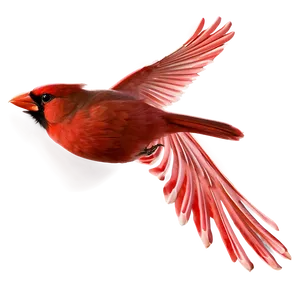 Cardinal Flying Side View Png Kga17 PNG image