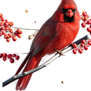 Cardinal In Autumn Png Wnn PNG image