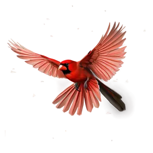 Cardinal In Flight Artwork Png 57 PNG image