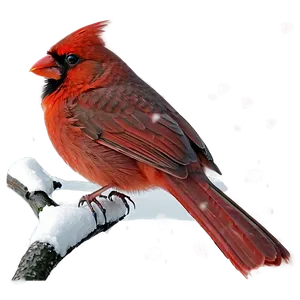 Cardinal In Snow PNG 05242024