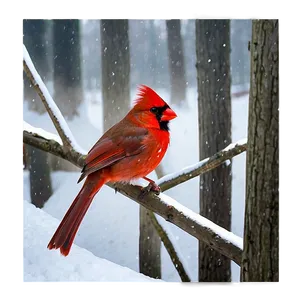 Cardinal In Snow Png 05242024 PNG image