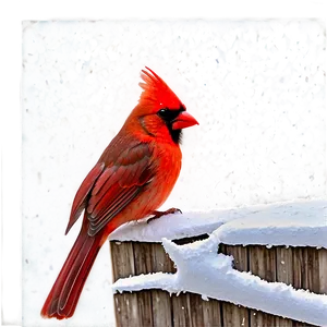 Cardinal In Snow PNG Wwg45