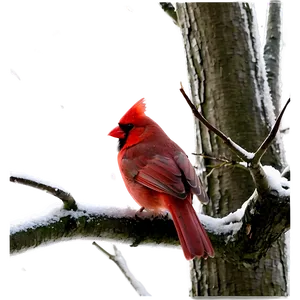 Cardinal In Winter Png Kcl69 PNG image