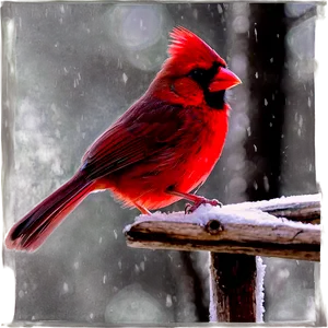 Cardinal In Winter Png Kdf28 PNG image