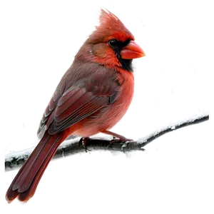 Cardinal In Winter Png Mmw PNG image