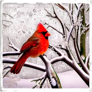 Cardinal In Winter Wonderland PNG Kyw