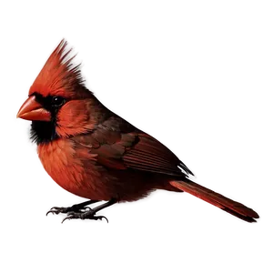 Cardinal Silhouette Png 56 PNG image