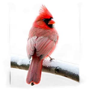 Cardinal Silhouette PNG Gtm96 PNG