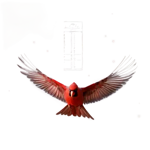 Cardinal Wings Spread PNG Xmc53
