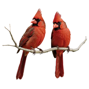 Cardinal With Crown PNG 92 PNG