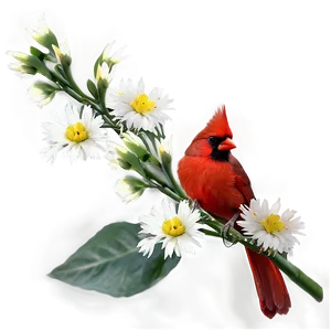 Cardinal With Flowers Png Qru PNG image
