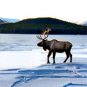 Caribou By Frozen Lake Png 06292024 PNG image