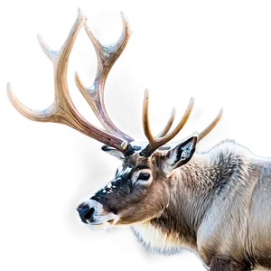 Caribou By Frozen Lake Png 06292024 PNG image