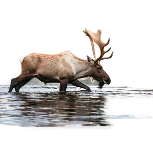 Caribou Crossing River Png Mdg22 PNG image