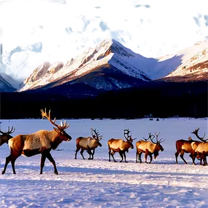 Caribou Crossing Snowy Field PNG 60 PNG