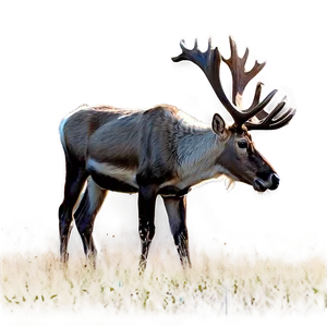 Caribou Feeding In Field Png 64 PNG image