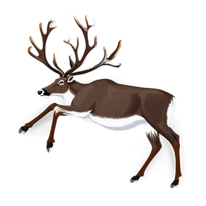 Caribou Fighting With Antlers PNG 06292024