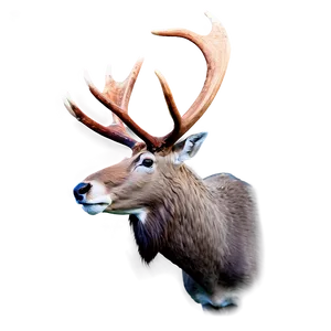 Caribou Fighting With Antlers PNG Oyr PNG