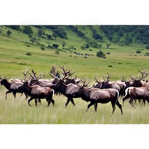 Caribou Herd Against Mountains PNG Roa PNG