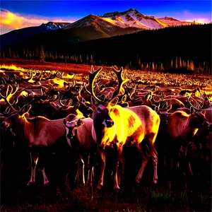 Caribou Herd At Sunset PNG 45 PNG