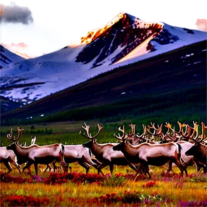 Caribou Herd In Tundra Png 06292024 PNG image