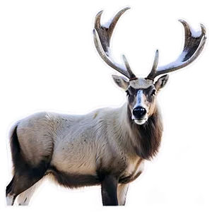 Caribou In Arctic Wilderness PNG Bcn37