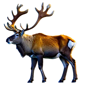 Caribou In Autumn Forest Png 67 PNG image