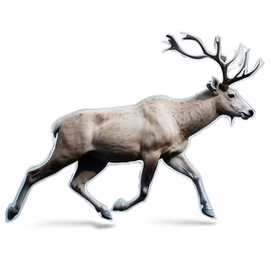 Caribou In Mid-run Png 06292024 PNG image