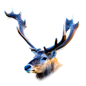 Caribou In Misty Morning PNG Wor