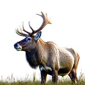 Caribou In Summer Meadow PNG Xwf PNG
