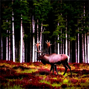 Caribou In The Wild PNG 06292024